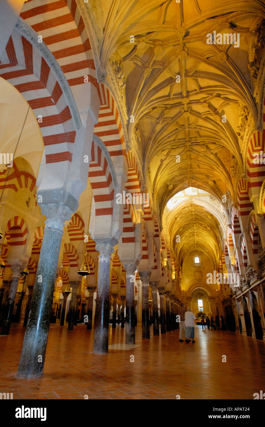 Soffitti all'interno della Catedral de Cordoba, un ex moschea medievale, Cordoba, Andalusia, Spagna. Foto Stock