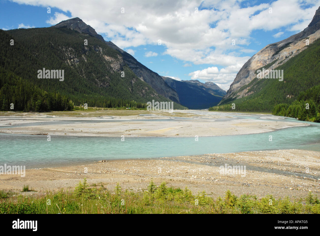 Fiume Kicking Horse nei pressi di campo nelle Montagne Rocciose B.C. Foto Stock