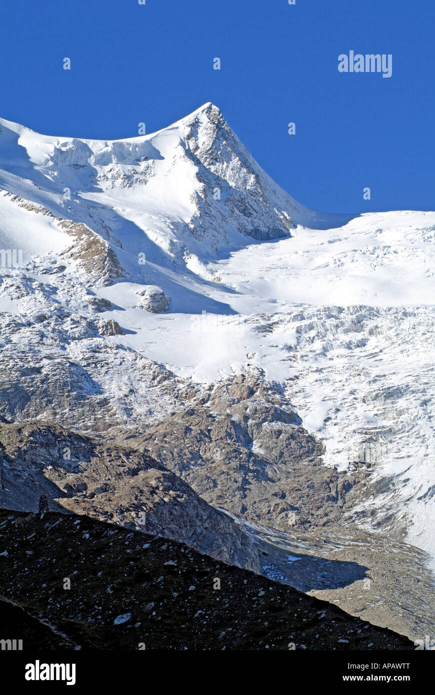 La montagna Schwarze Wand il Parco Nazionale degli Alti Tauri Il Tirolo Orientale in Austria Foto Stock