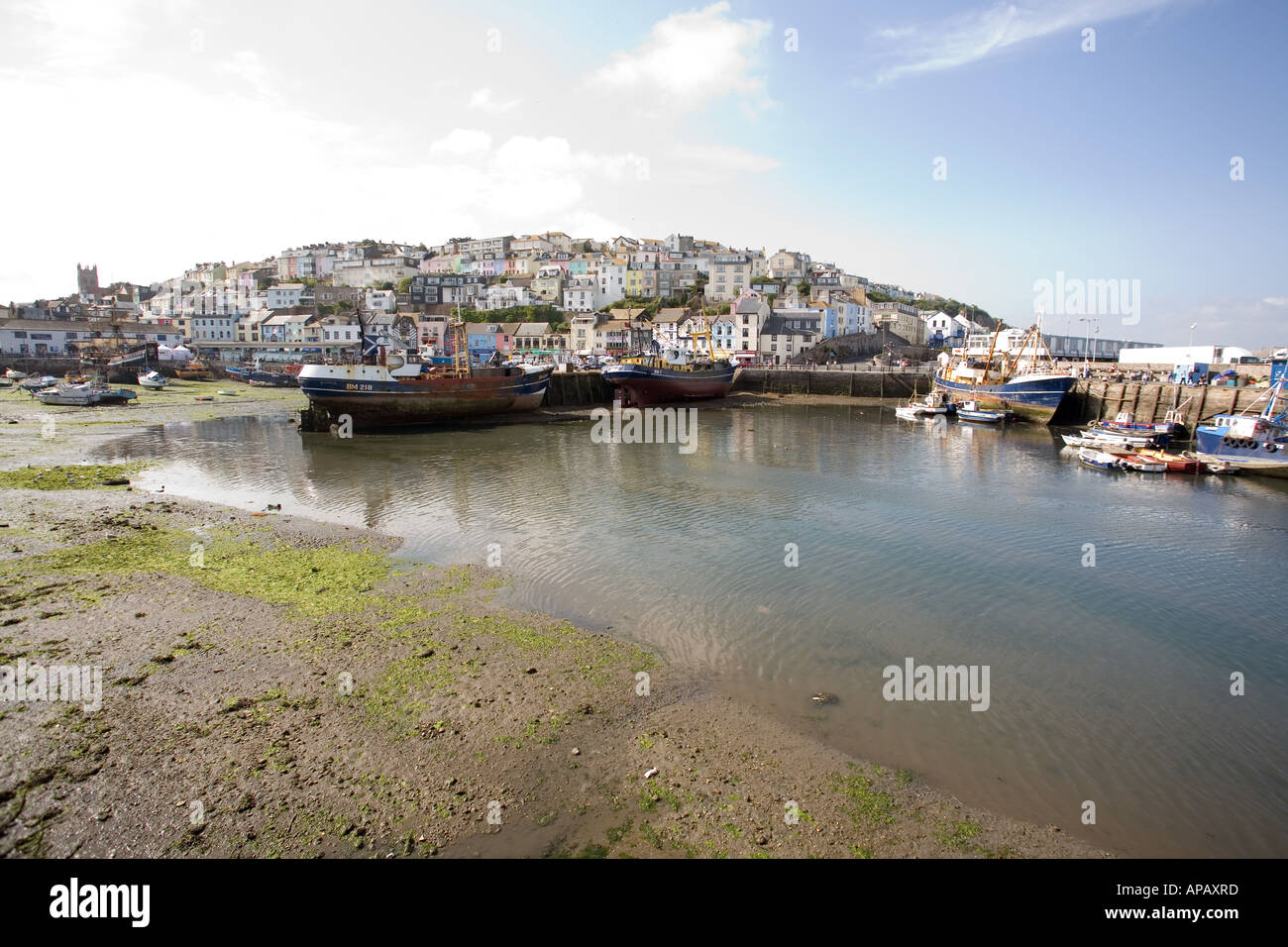 Porto di Brixham Devon, Inghilterra. Foto Stock