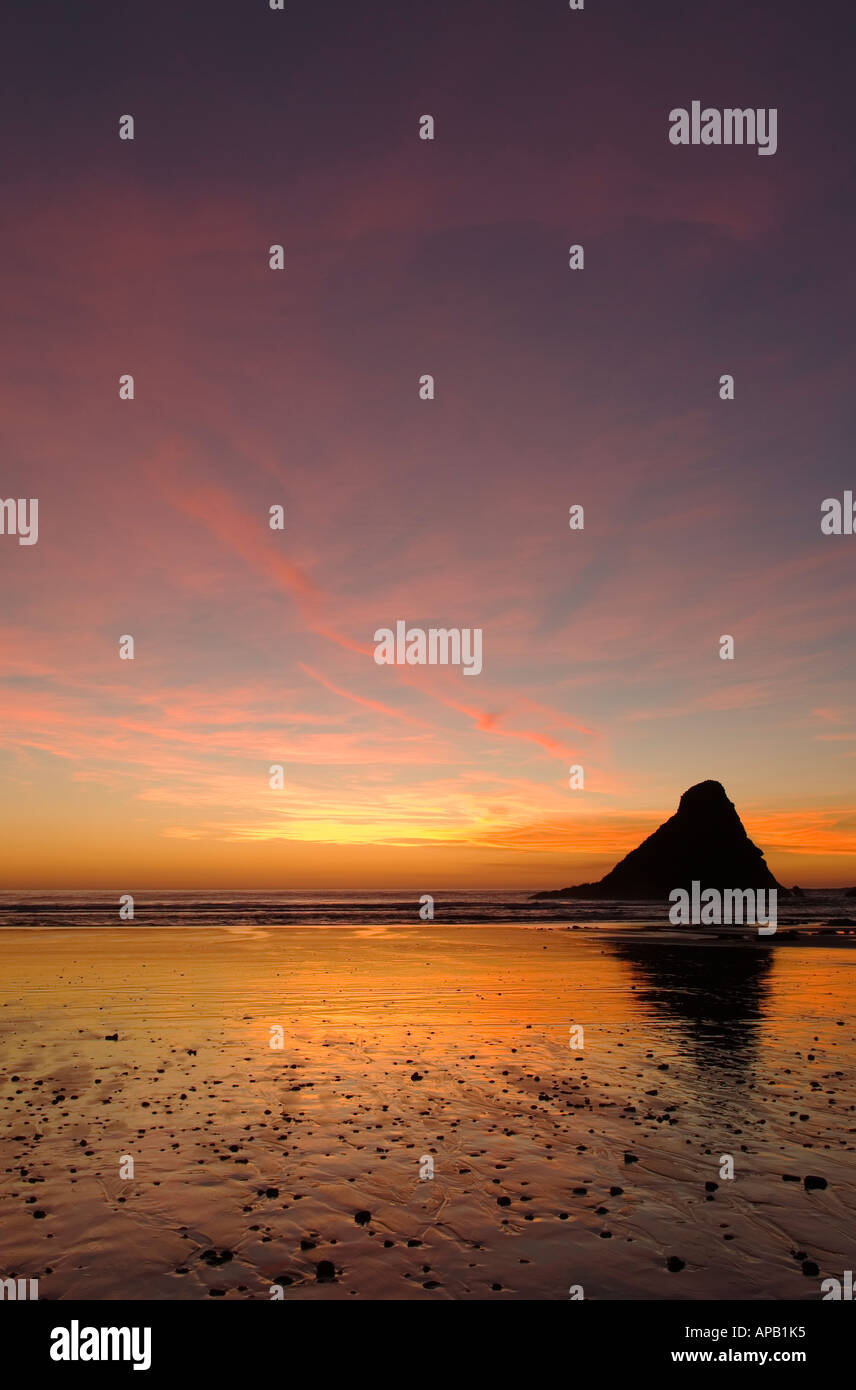 Parrot Rock al tramonto i diavoli il gomito del parco statale a testa Heceta sulla costa dell'Oregon Foto Stock