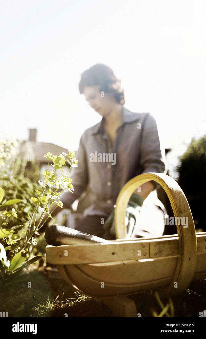 Donna giardinaggio con un trug in primo piano Foto Stock