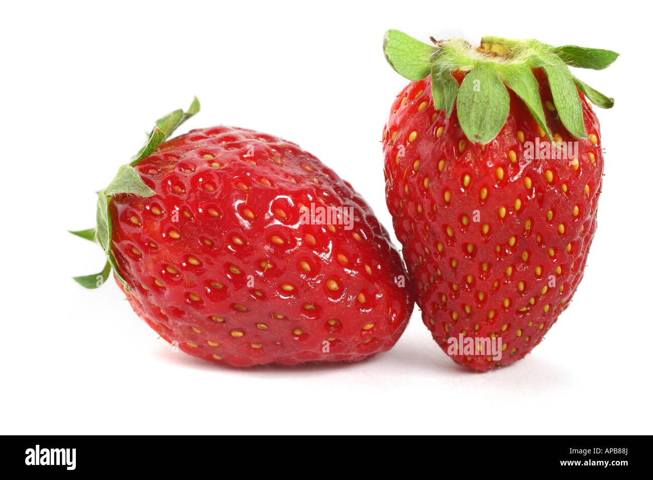 Un paio di fragole mature su sfondo bianco Foto Stock