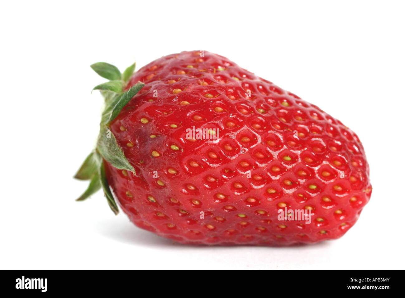Un fragole mature su sfondo bianco Foto Stock