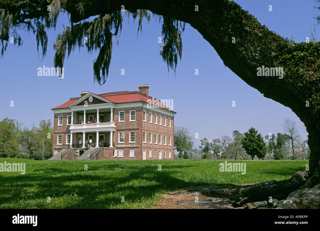 Una vista dei giardini in Drayton Hall una grande piantagione nel quartiere storico di Charleston Foto Stock