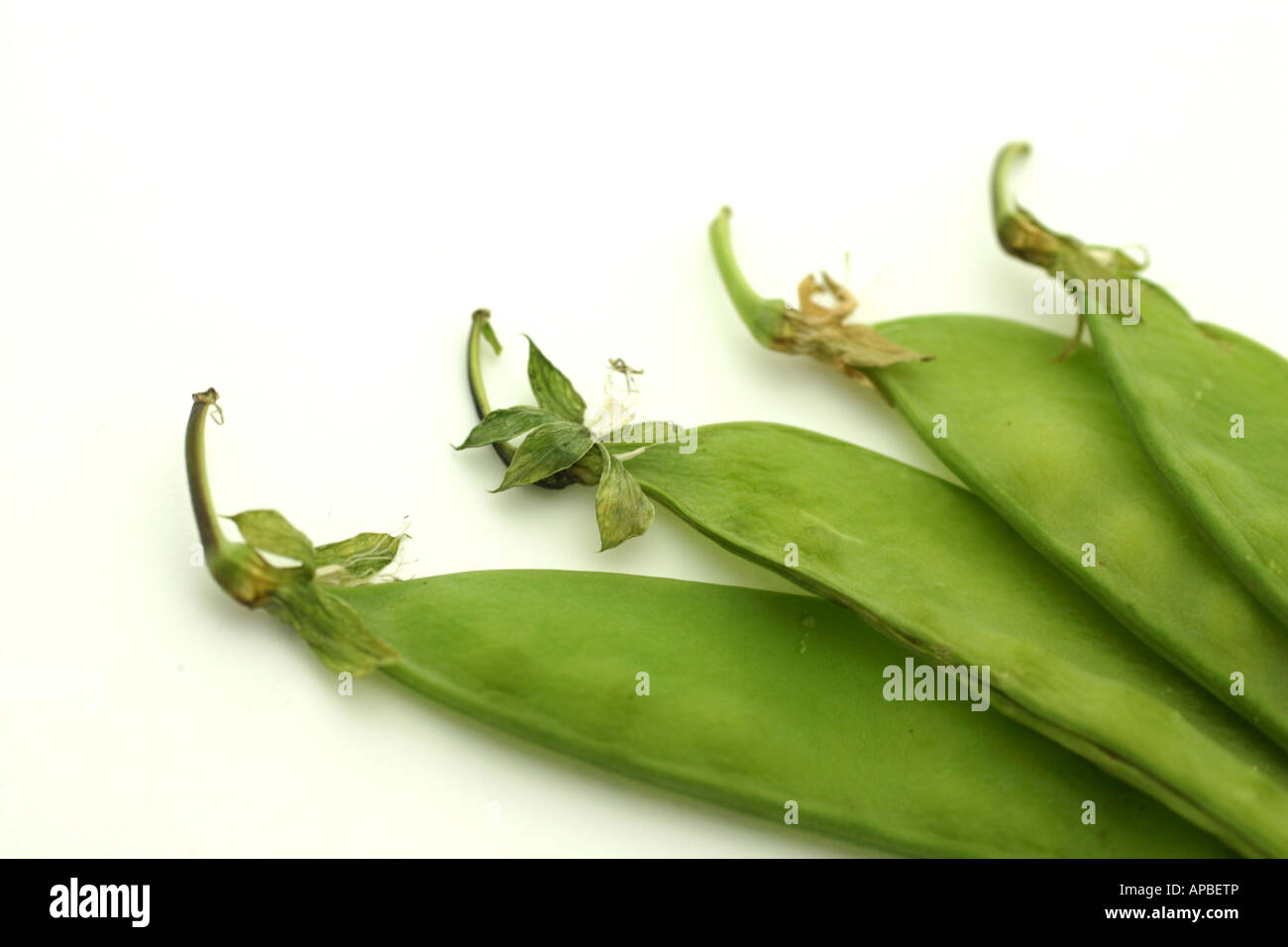 Zucchero piselli a scatto su sfondo bianco Foto Stock