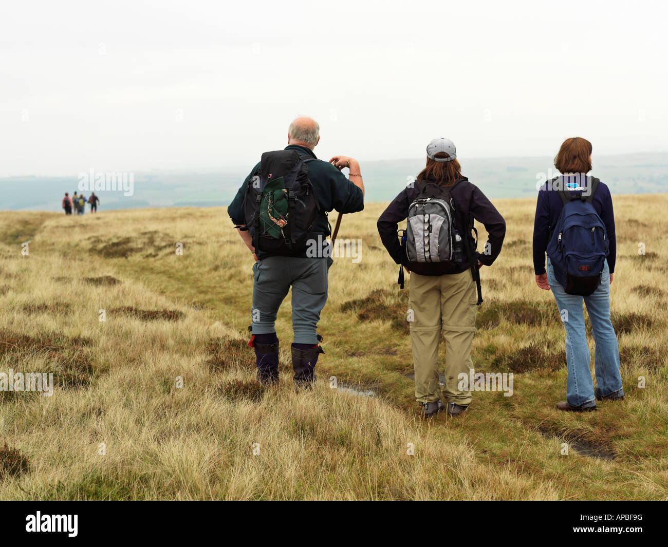 Regno Unito Bowland Forest escursionisti pausa durante le escursioni su mori della foresta Bowland Foto Stock