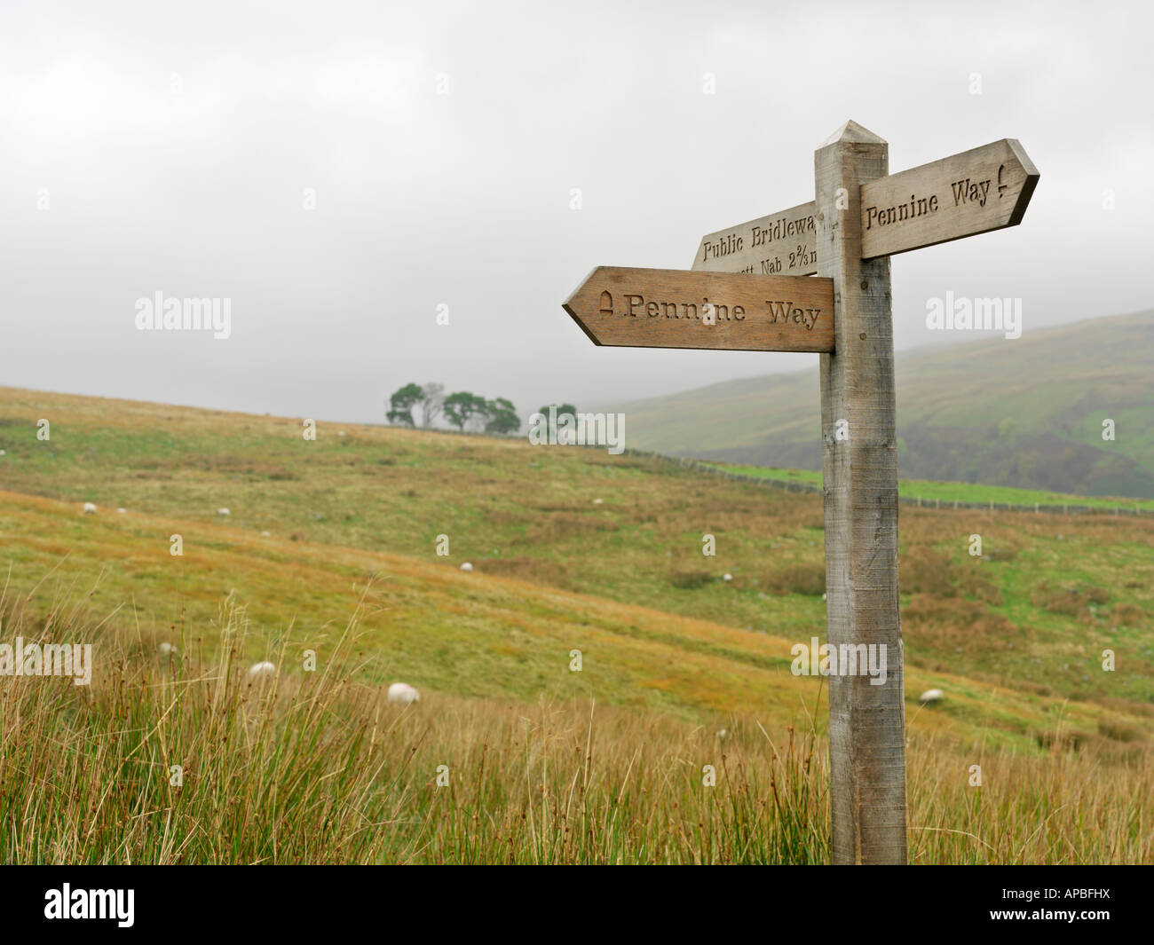 Regno Unito Yorkshire Yorkshire Dales National Park segnaletica per la Pennine Way 270 miglio lungo itinerario a piedi Foto Stock