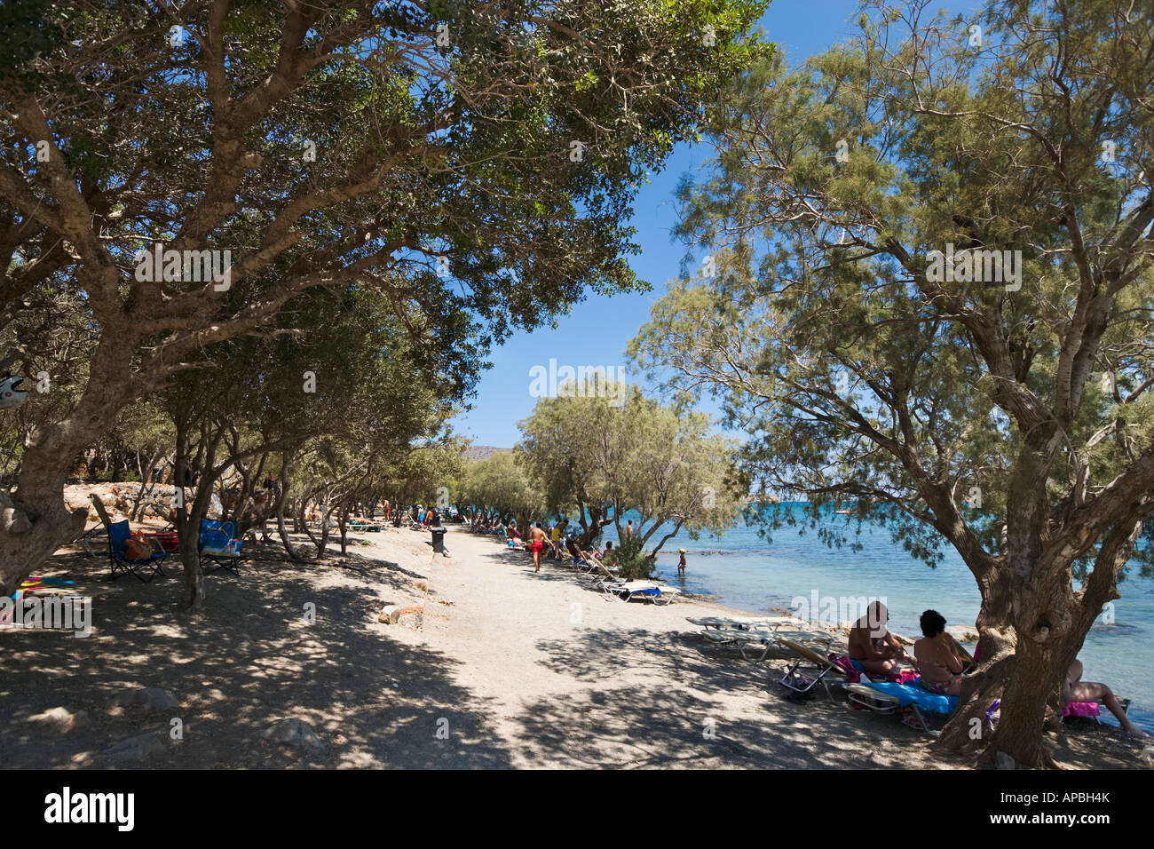 Driros Beach, Elounda, Costa Nord Est, Creta, Grecia Foto Stock