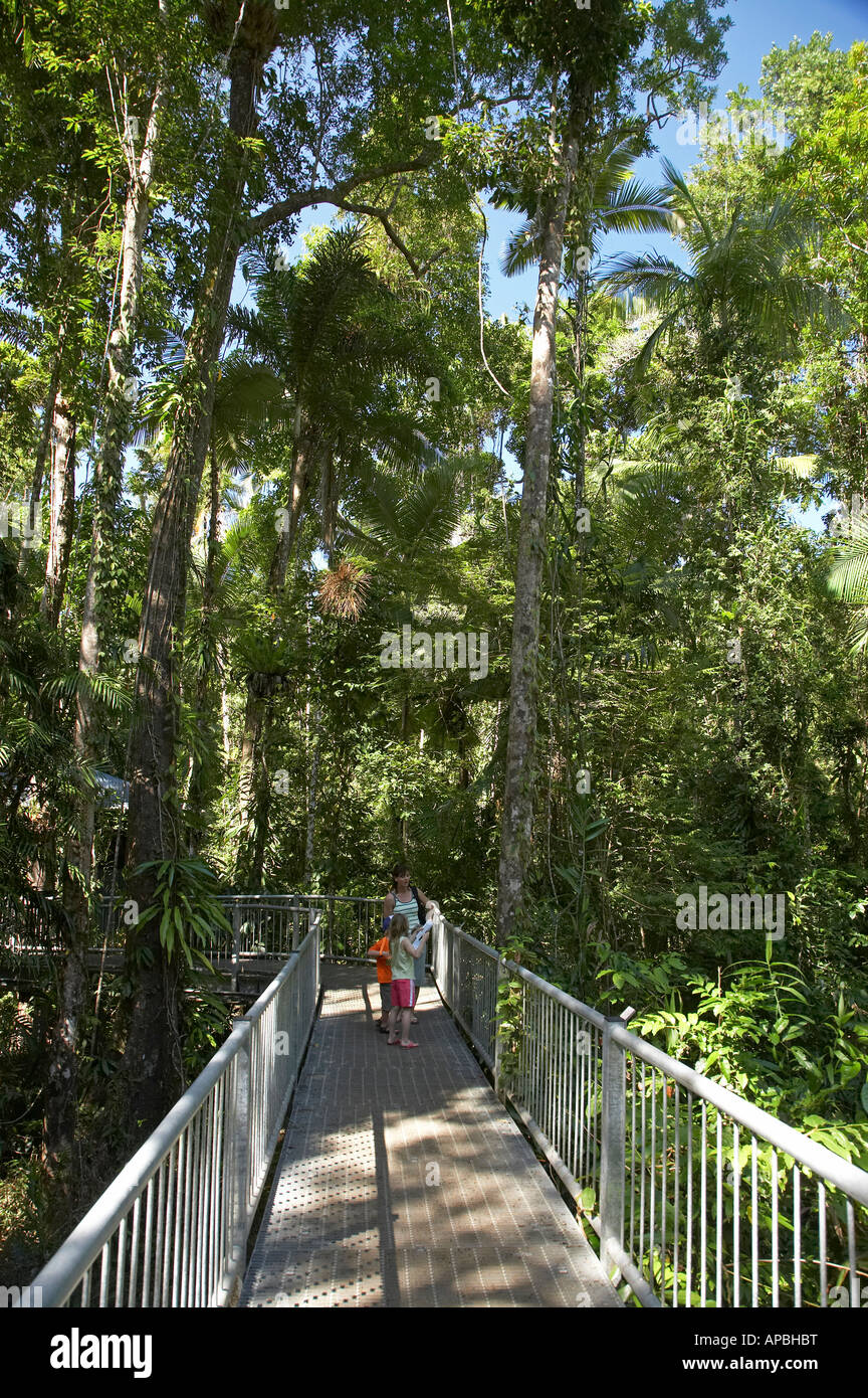 Famiglia di antenna sul manto della Foresta Pluviale di Daintree passerella Discovery Center Parco Nazionale Daintree Area del Patrimonio Mondiale North Queensland Foto Stock