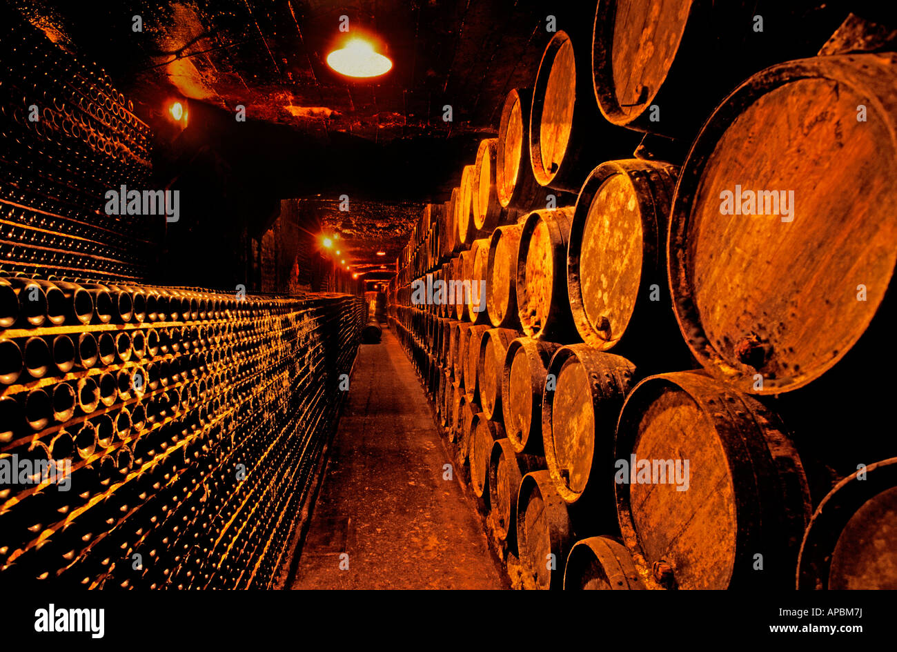 Spagna Rioja vino Foto Stock