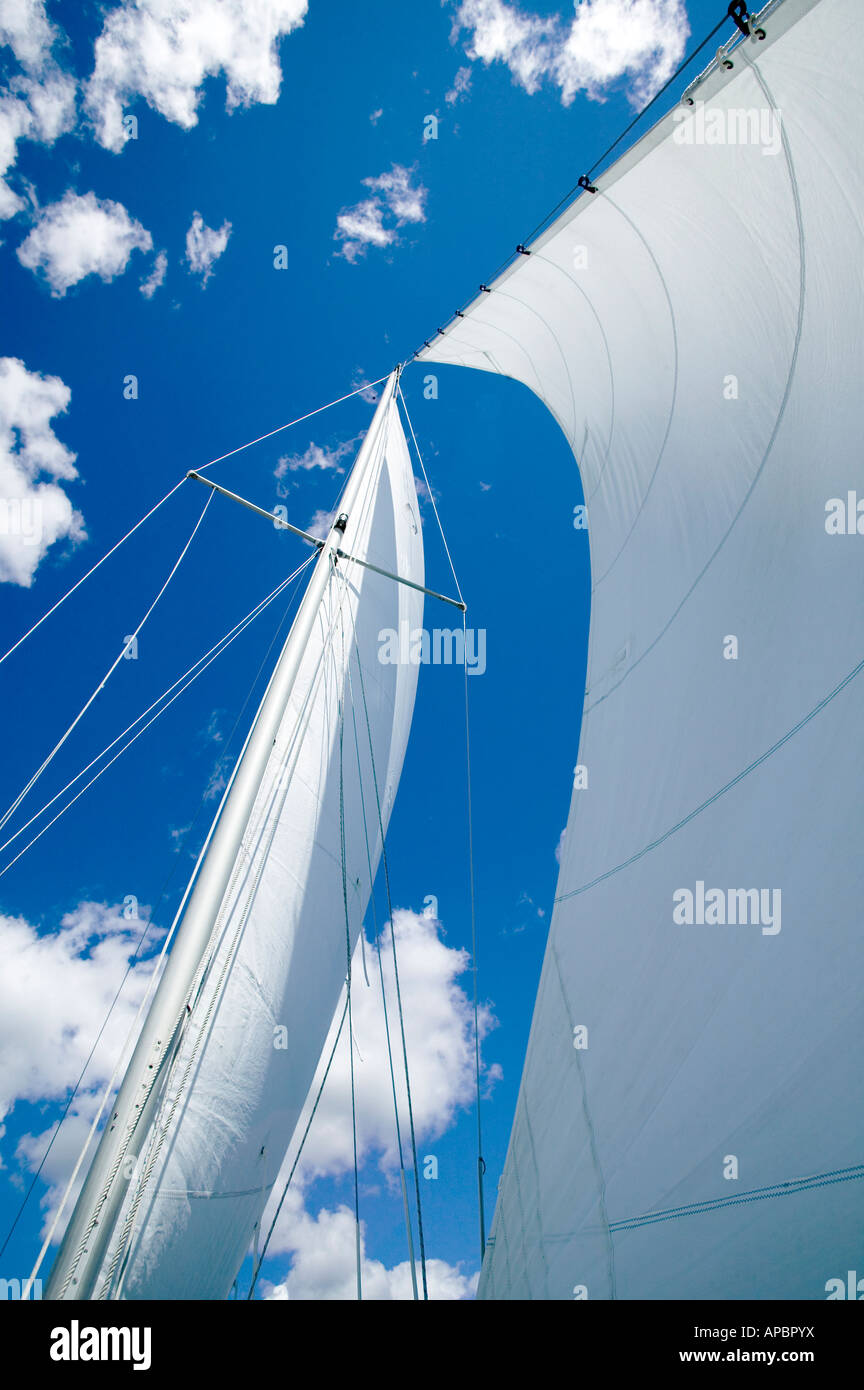 Cerca fino a vele bianche sulla barca a vela riempire con vento Vacanza Ferie Foto Stock