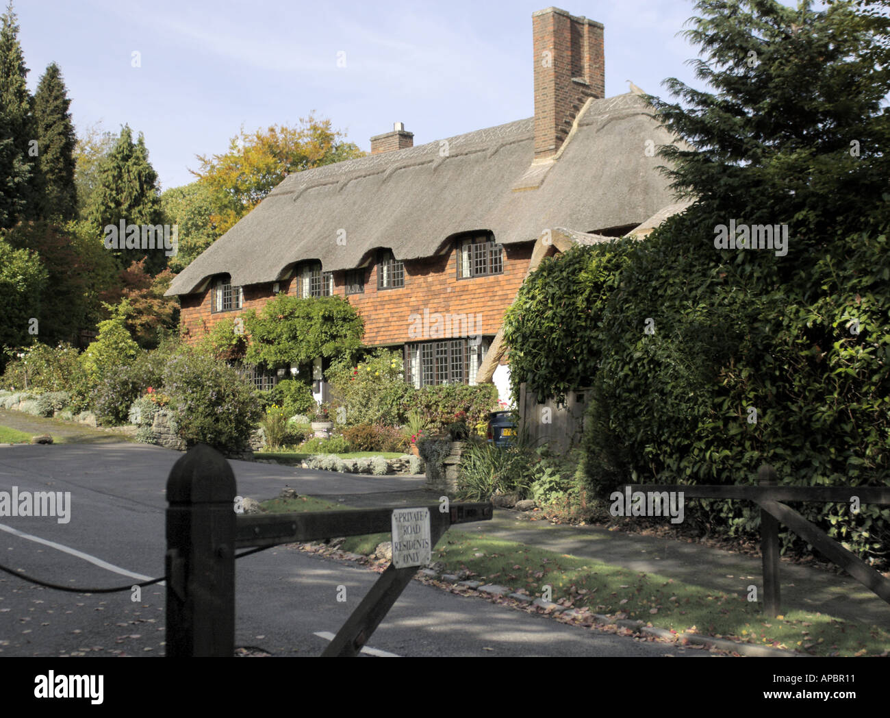 Un paese cottage thatched giù per una strada privata in Esher Surrey Foto Stock