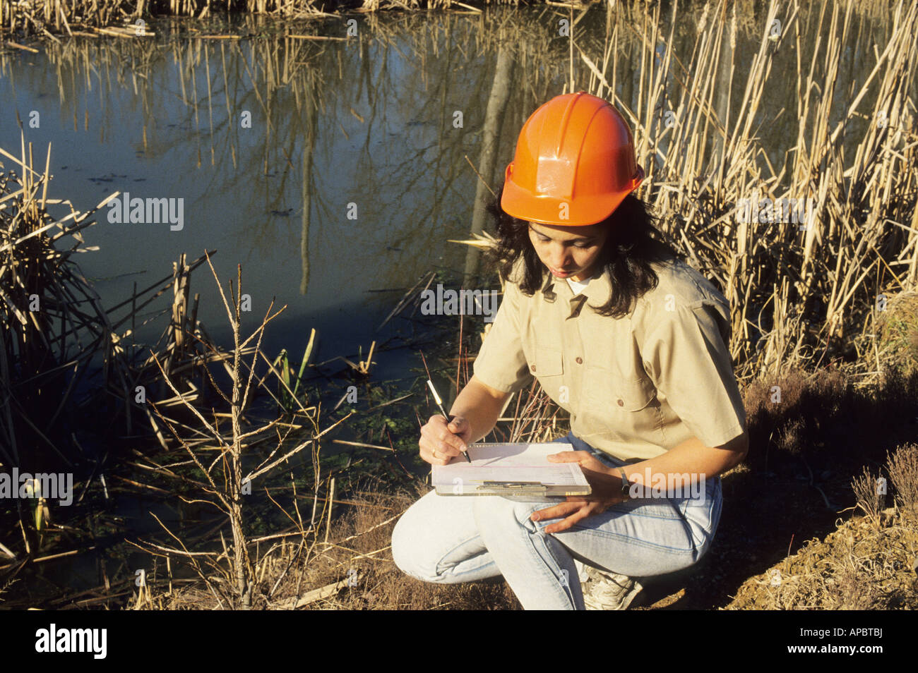 Ecologista controlli campione di acqua di marsh Maryland USA carriera ecologia ambiente verde Biologia Scienze Foto Stock