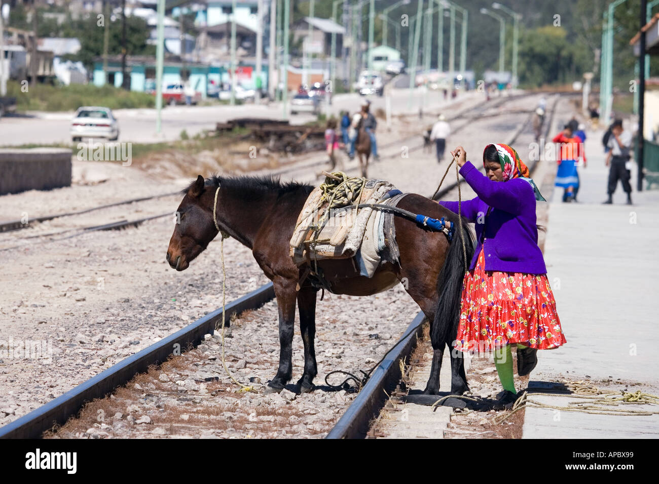 Una donna che prepara il suo mulo dopo la consegna di un carico di legno per un ristorante in Creel Messico una popolare destinazione turistica Foto Stock