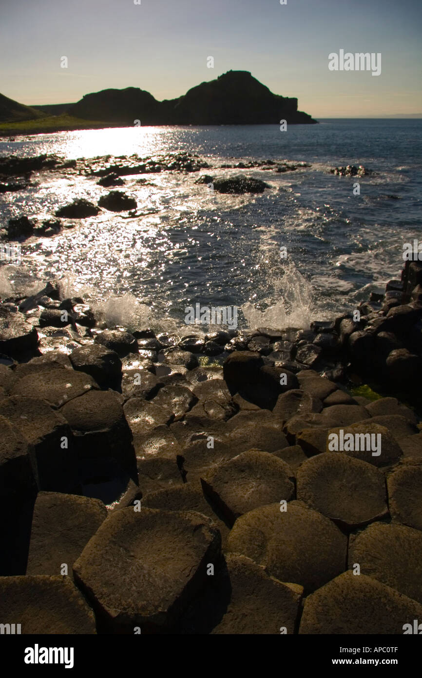 Giant's Causeway, Nord costa di Antrim, Irlanda del Nord Foto Stock