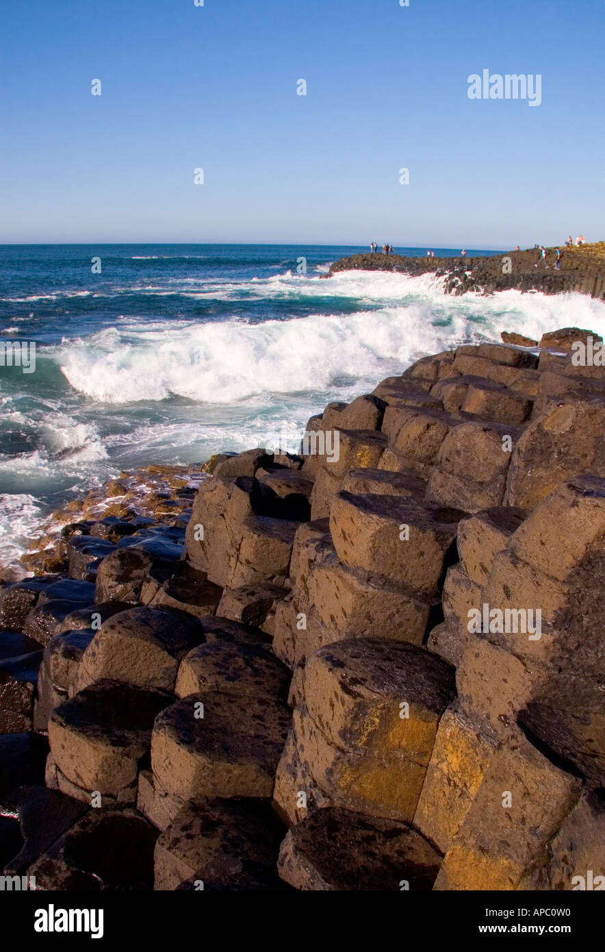 Colonne di basalto, Giant's Causeway Nord costa di Antrim, Irlanda del Nord Foto Stock