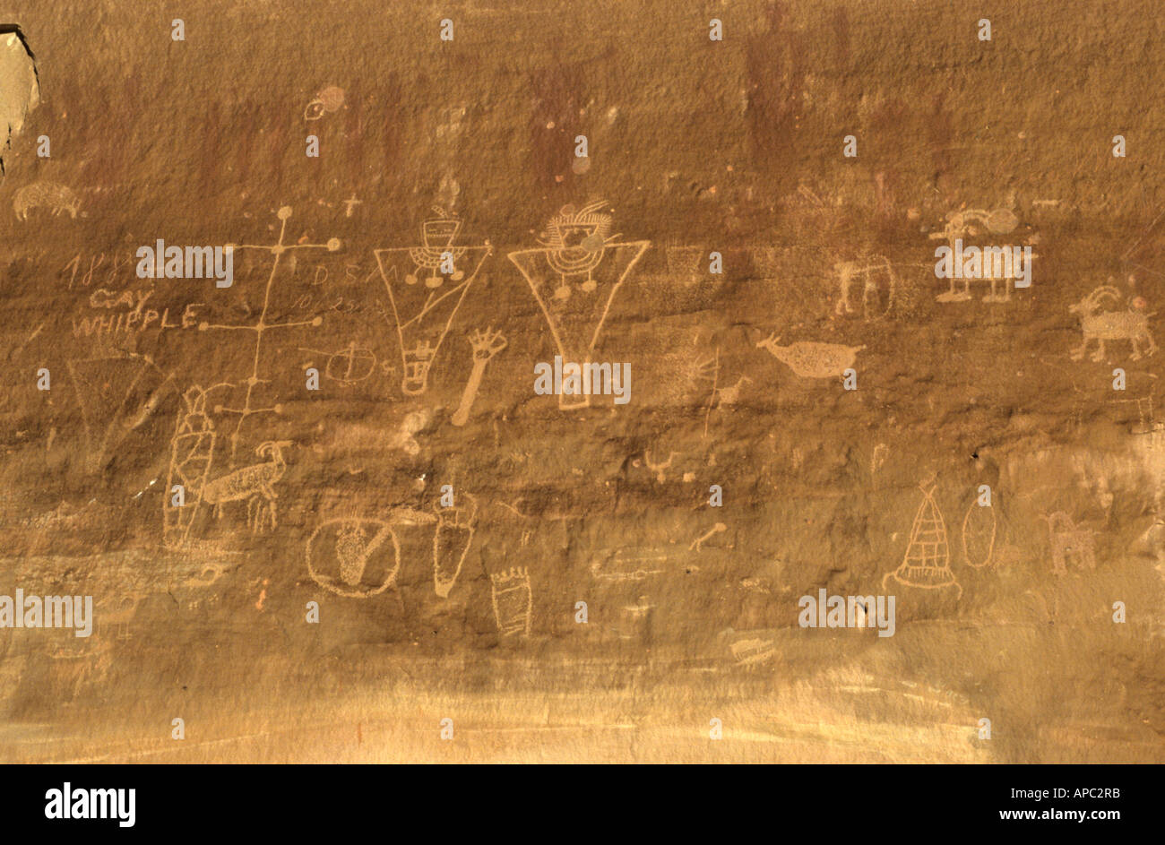 Nativo Americano indiano o arte rupestre, Sego Canyon dello Utah, Stati Uniti d'America Foto Stock