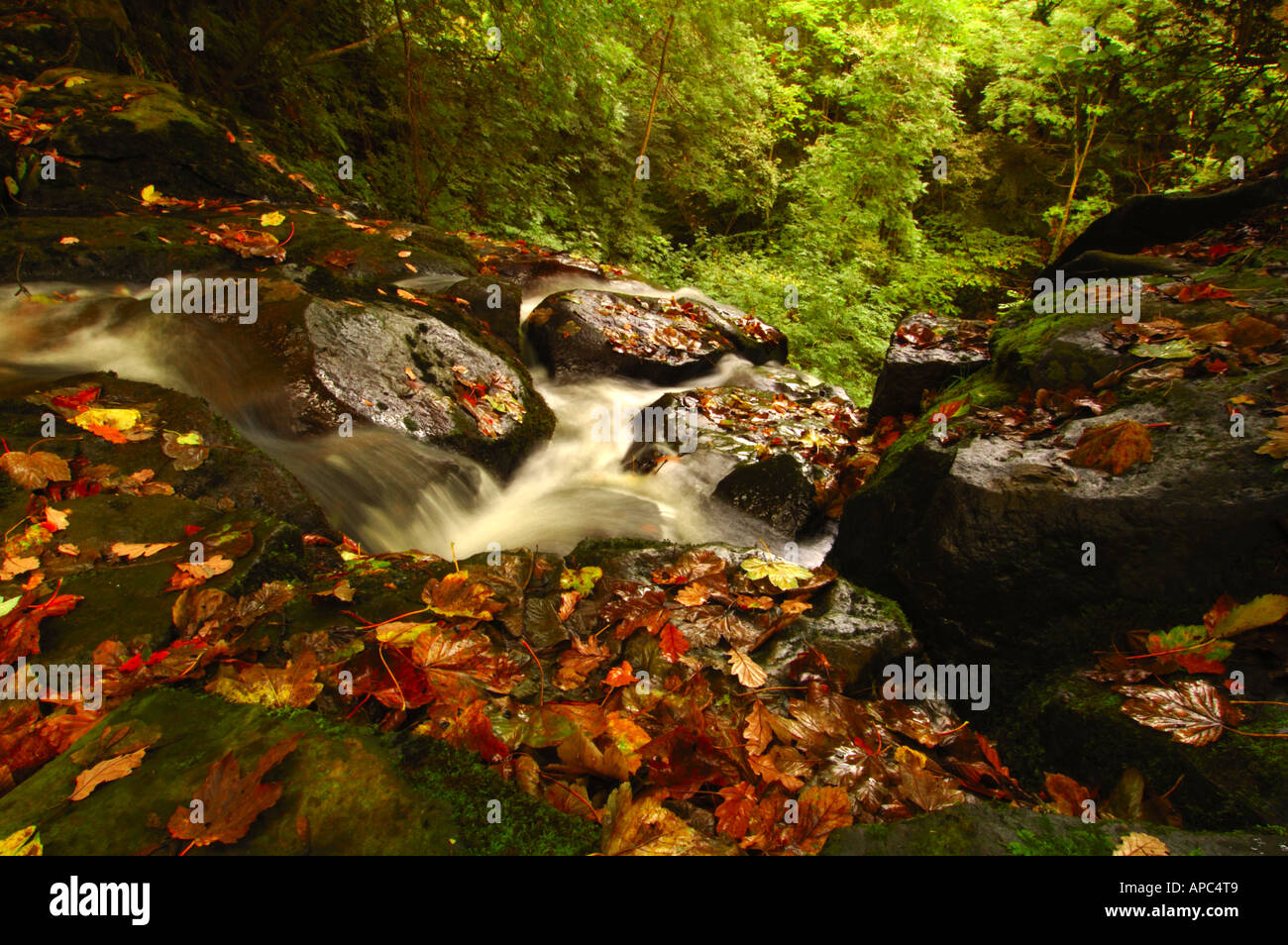 La caduta di Foss, Littlebeck, North Yorkshire Moors Foto Stock