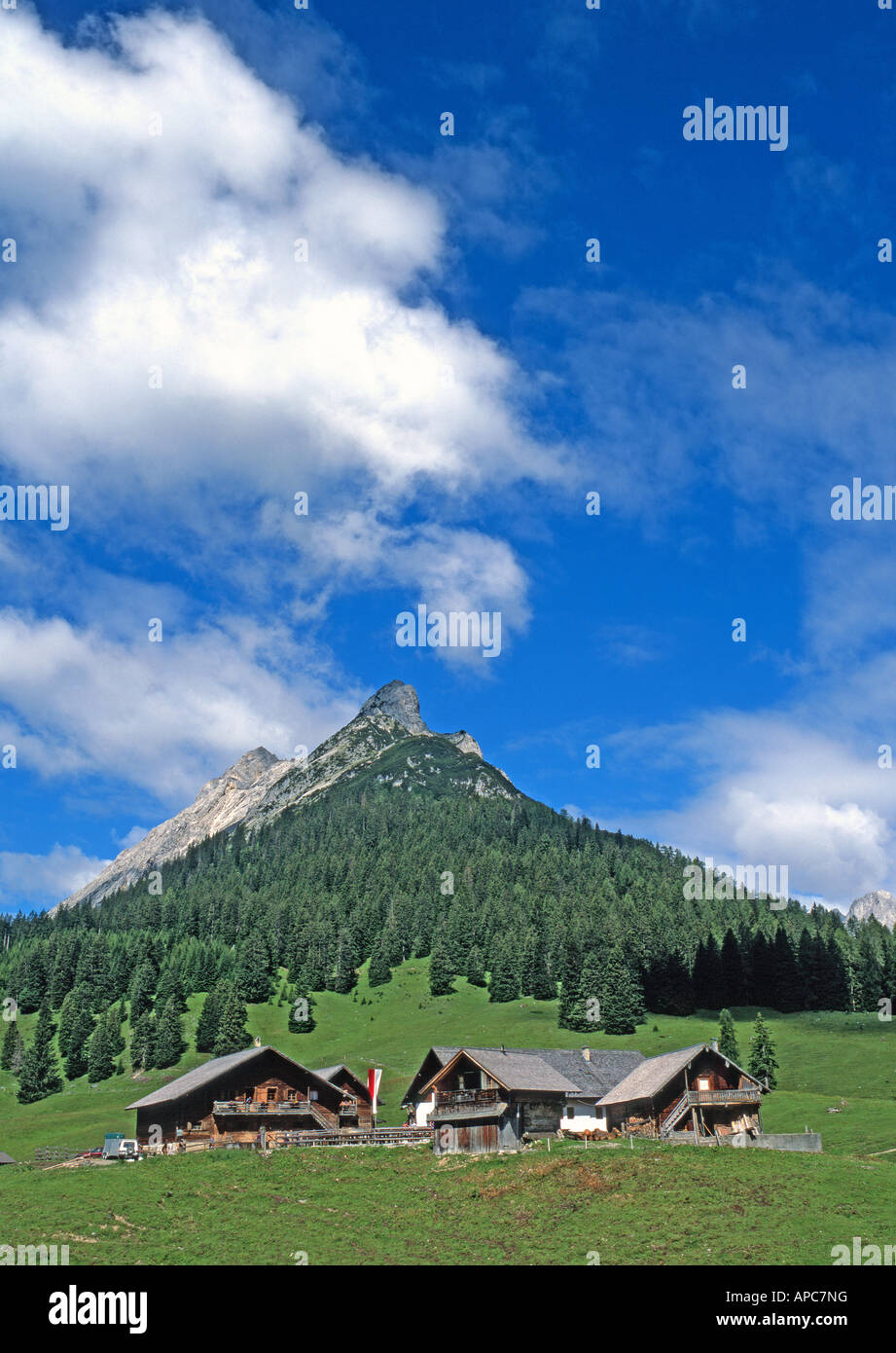 La tradizionale fattoria alpina Walder Alm con le montagne Walderkamp Spitze e Hundskopf in background Foto Stock