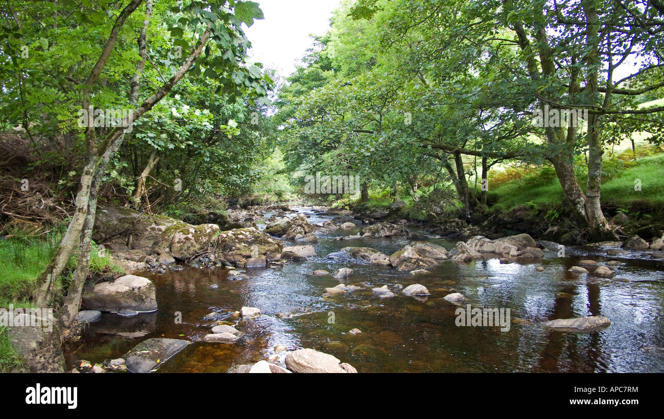 Glen, County Antrim, Irlanda del Nord Foto Stock