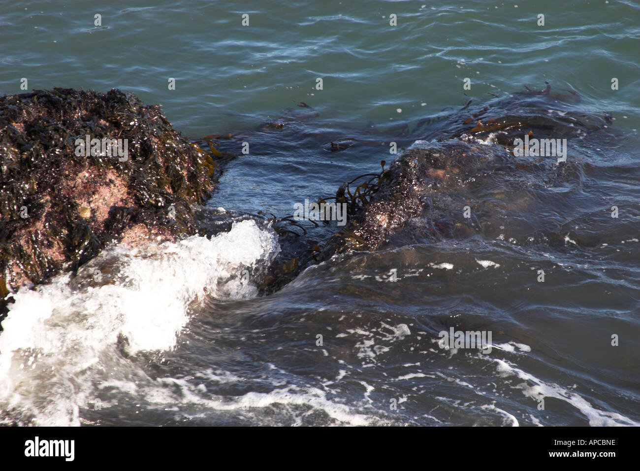 Lavaggio del mare sulle rocce di Sunny inverno mattina Foto Stock