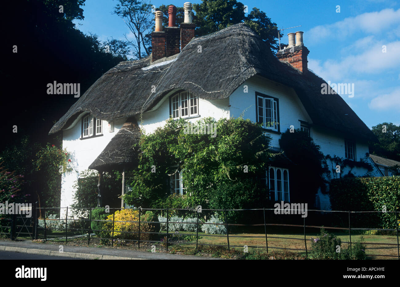Beehive Cottage a verde del cigno, Lyndhurst, New Forest National Park, Hampshire, Inghilterra, Regno Unito Foto Stock
