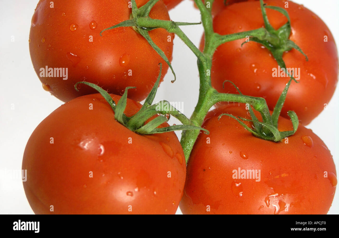 4 pomodori rossi sulla vite Foto Stock
