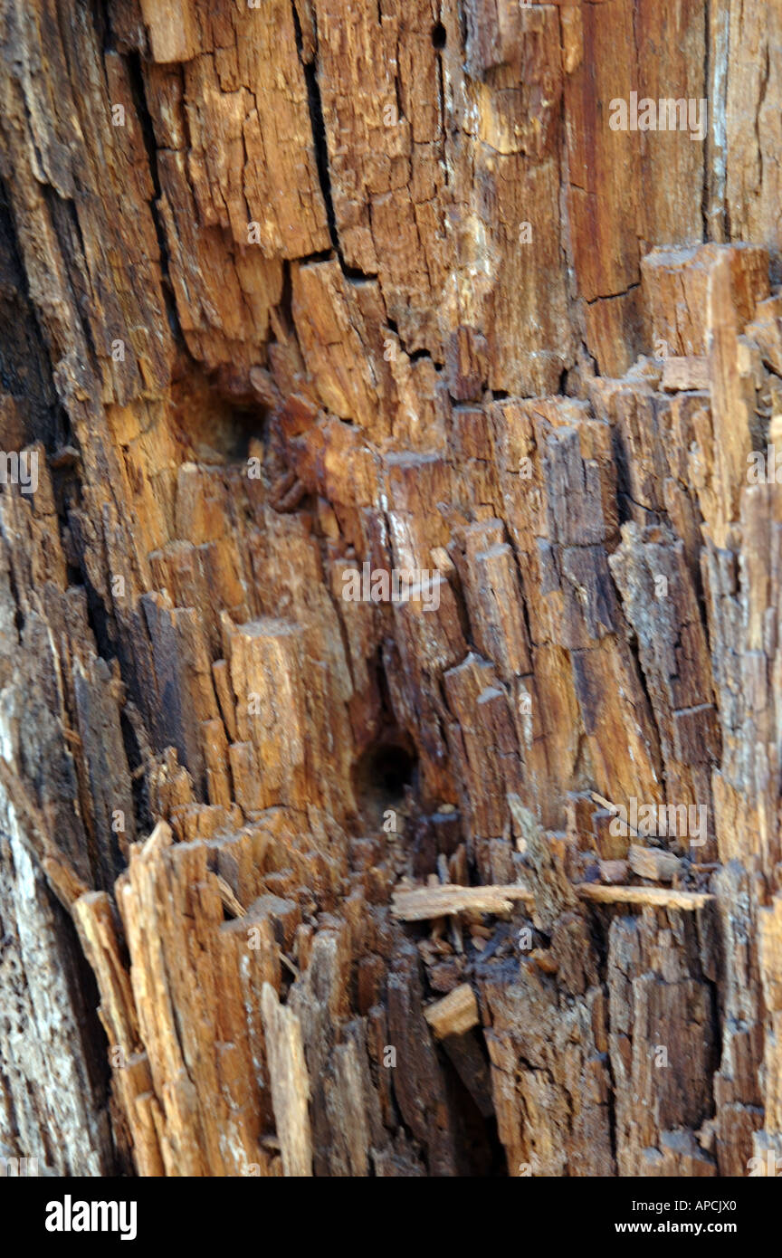 sfuggire di mano Foto Stock