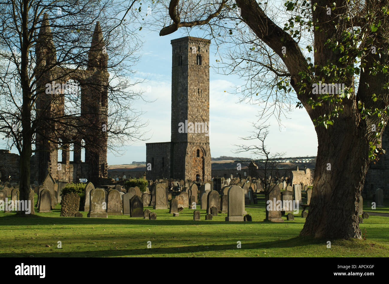 St Andrews Cathedral e St regola Tower, St Andrews, East Neuk di Fife, Scozia, Regno Unito. Foto Stock