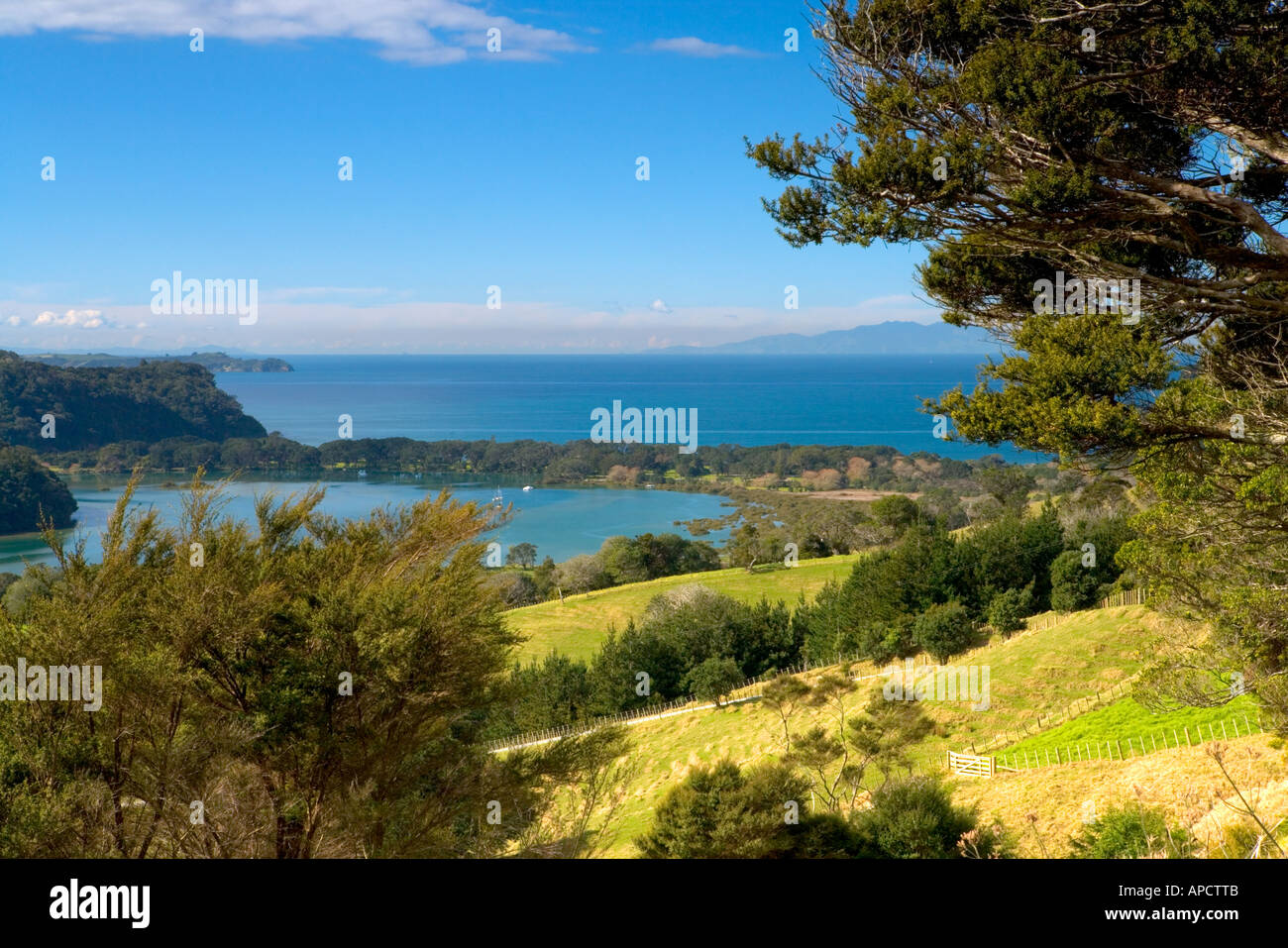 Baia di Whangaparaoa Auckland Nuova Zelanda Foto Stock