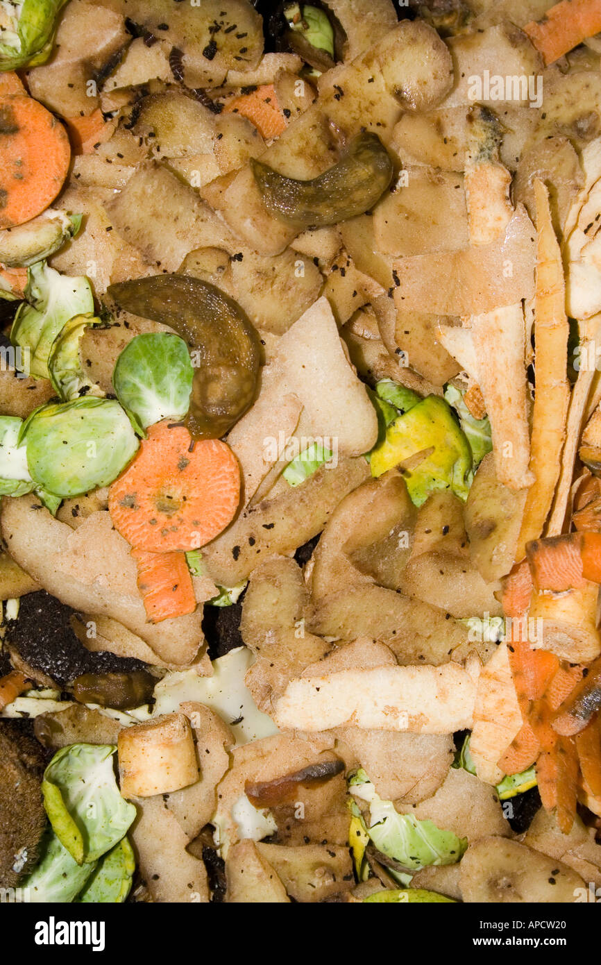 Marciume peeling vegetale con spezzoni di mangiare i rifiuti in un riciclaggio compost bin Wales UK Foto Stock