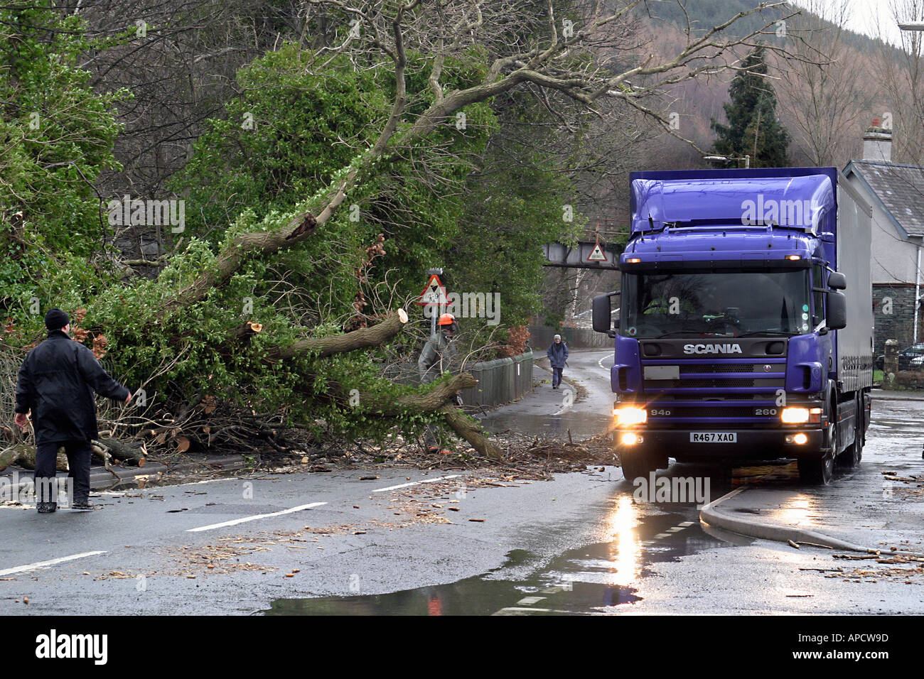 Un camion che passa da un albero distrutto in una tempesta in Keswick, 2005, Regno Unito Foto Stock