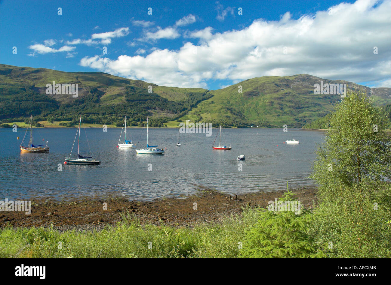 Yachts Loch Levan a Ballachulish Highland Foto Stock