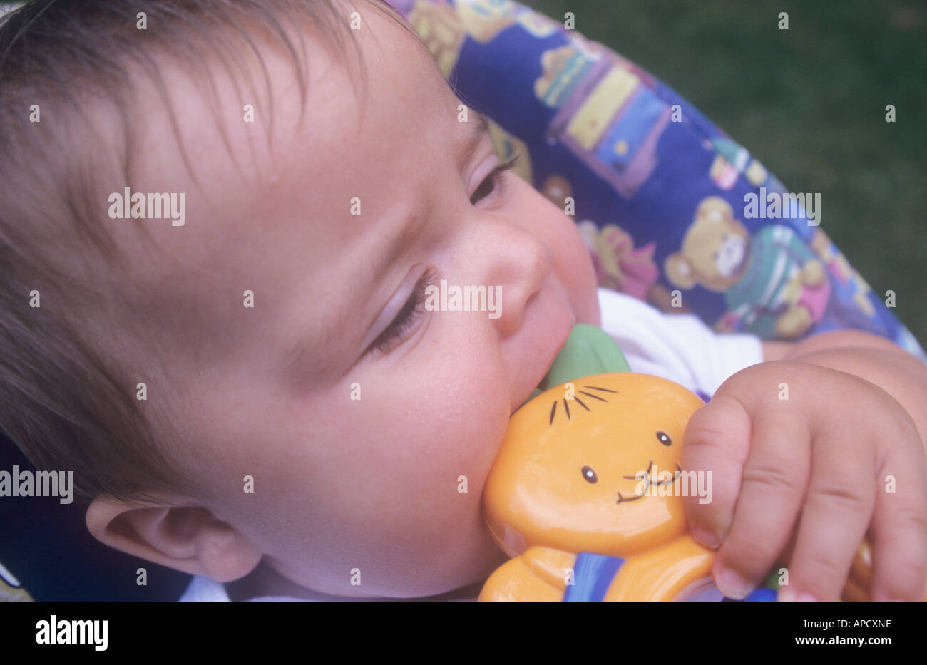 Baby girl, di età di 7 mesi, masticare sul battito Foto Stock