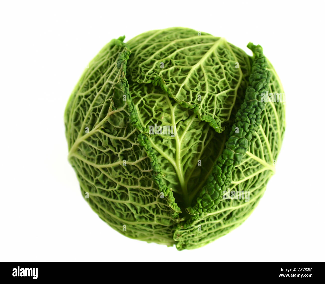 Verza Foto Stock