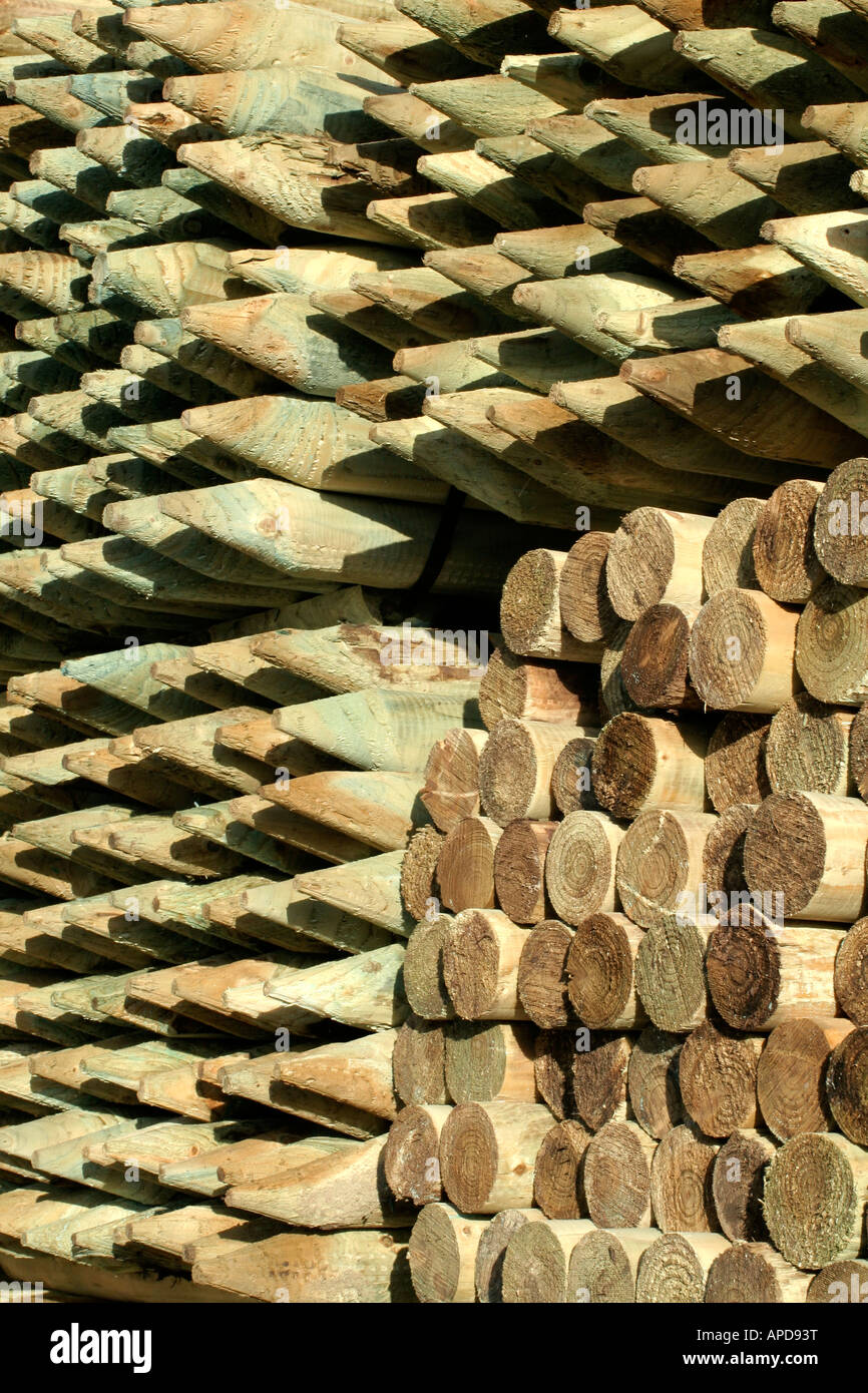 Scherma Tanalised picchetti di legno utilizzando arseniato di rame cromato CCA Foto Stock