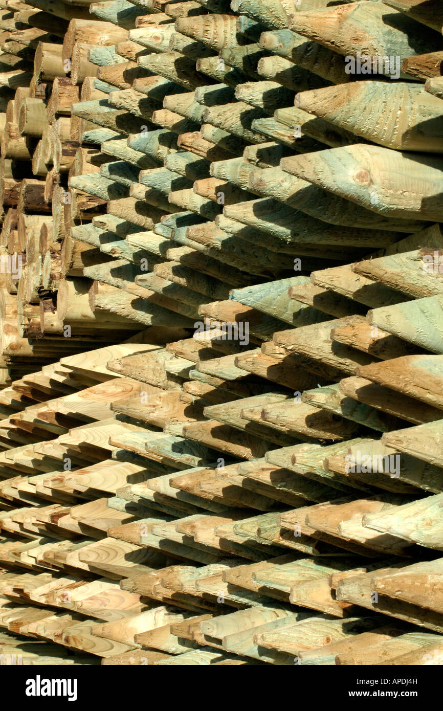Scherma Tanalised picchetti di legno utilizzando arseniato di rame cromato CCA Foto Stock