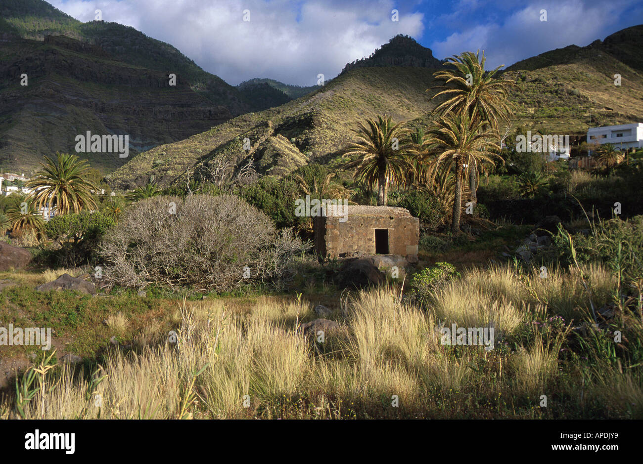Altes Haus, Offenburg, Bergkulisse, El Risco bei Agaete, Gran Canaria Kanarische isole, Spanien Foto Stock