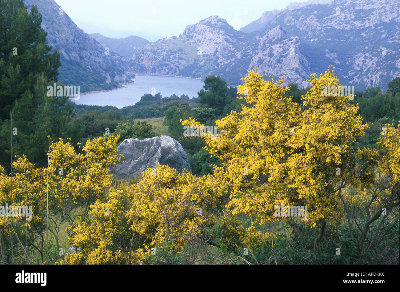 Stausee, Embalse de Gorg Blau, Mallorca Balearen, Spanien Foto Stock