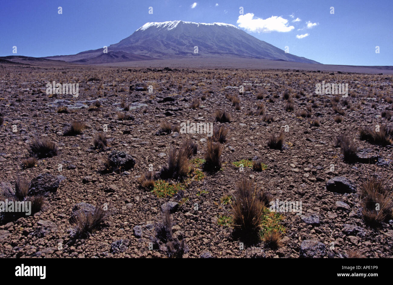 Vista di Snow capped Kilimanjaro in Tanzania Foto Stock