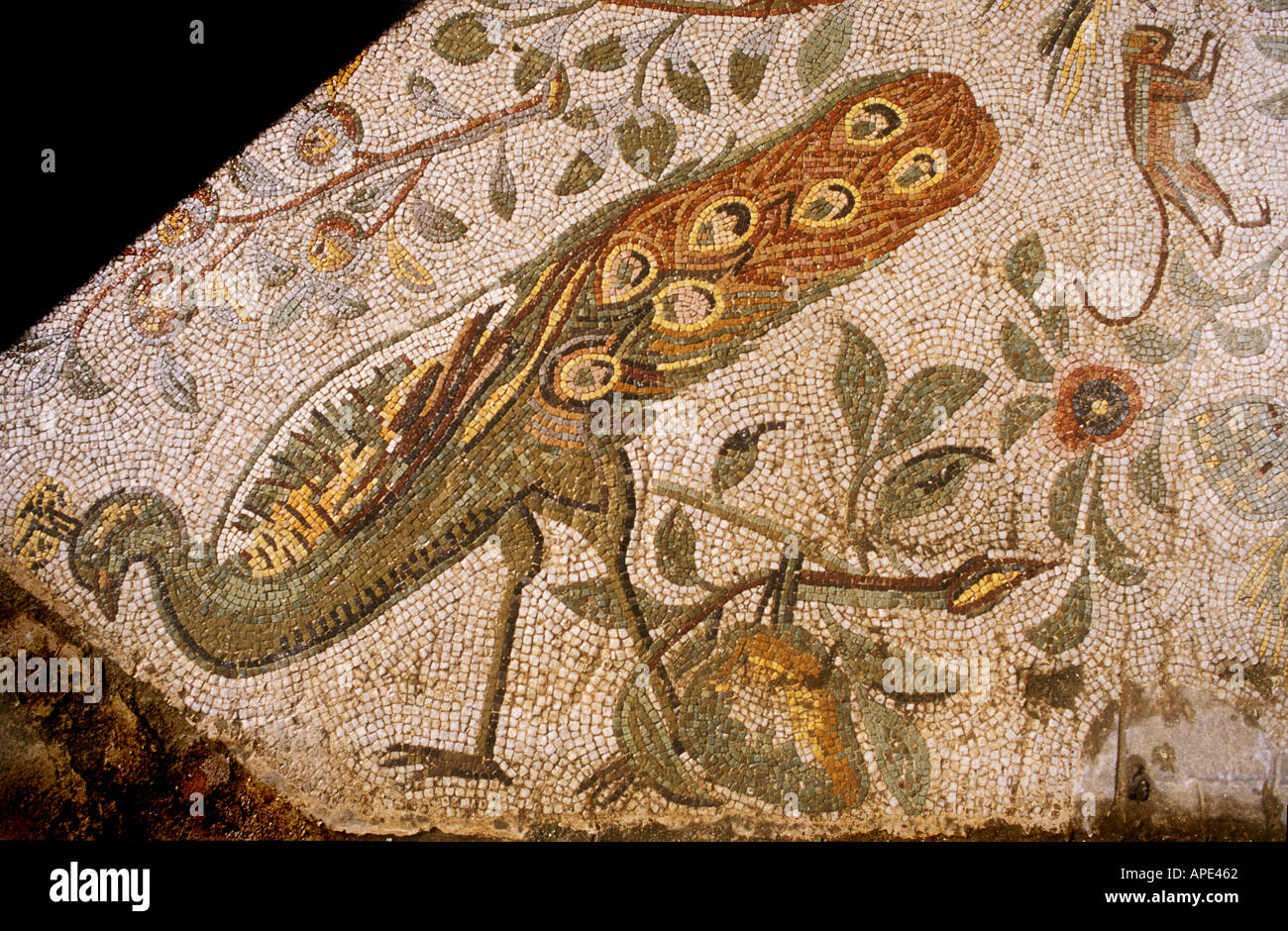 Pavimento a mosaico, Cartagine Tunisia Africa Foto Stock