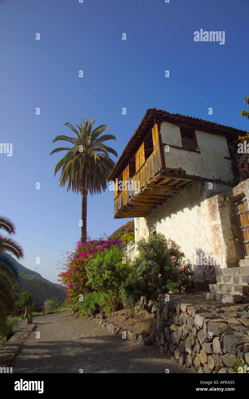 Spagna Isole Canarie Tenerife Icod de los Vinos Parque del Drago Foto Stock