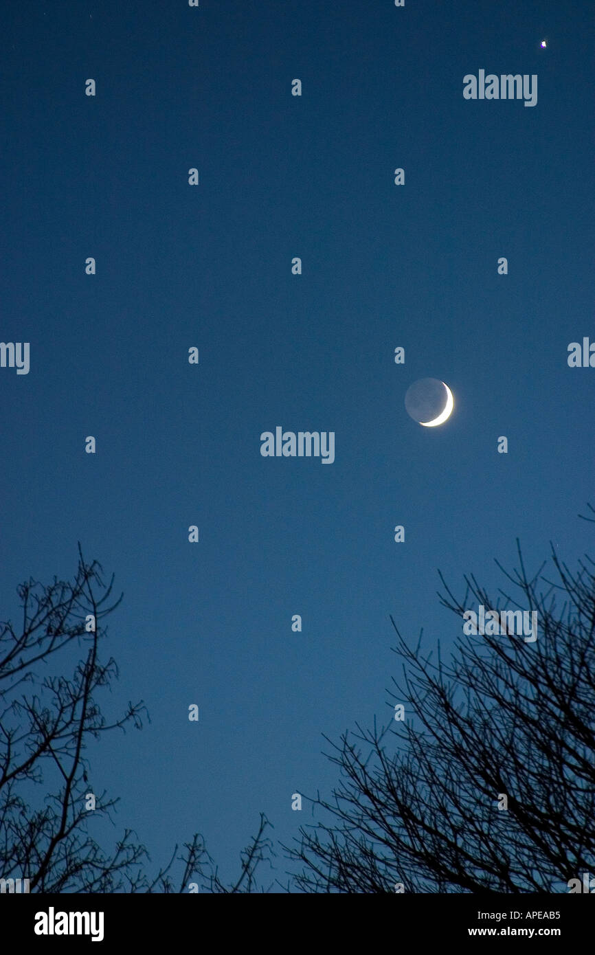 Falce di luna e Venere Foto Stock