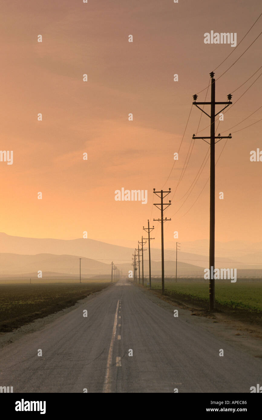 Svuotare le due corsie paese rurale su strada e pali del telefono al tramonto la Valle Centrale Stanislao County in California Foto Stock