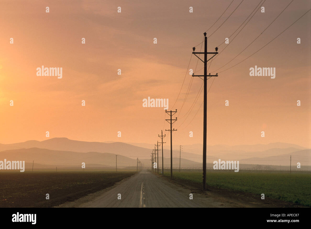 Svuotare le due corsie paese rurale su strada e pali del telefono al tramonto la Valle Centrale Stanislao County in California Foto Stock