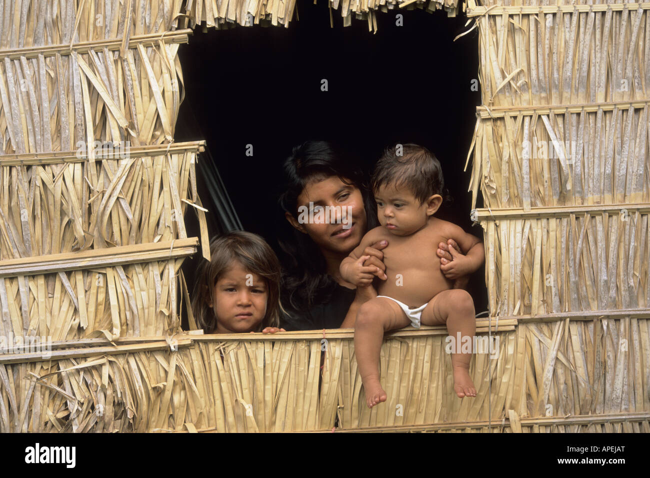 Madre e bambini alla finestra della loro casa costruita di split palms nella foresta allagata (varzea) dell'amazzonia Brasile Foto Stock