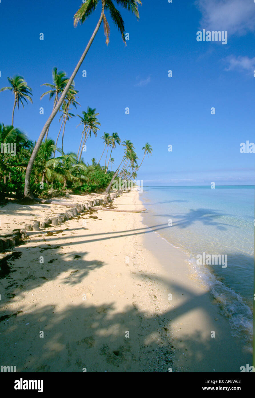 Isole Fiji Beach Foto Stock