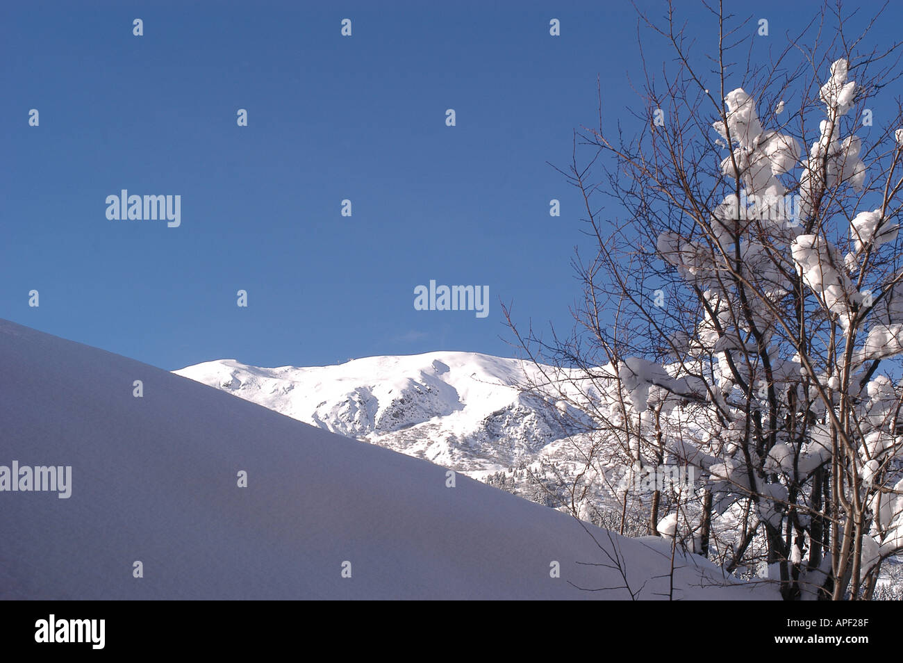 Coperta di neve collina con montagne e piccoli alberi Foto Stock