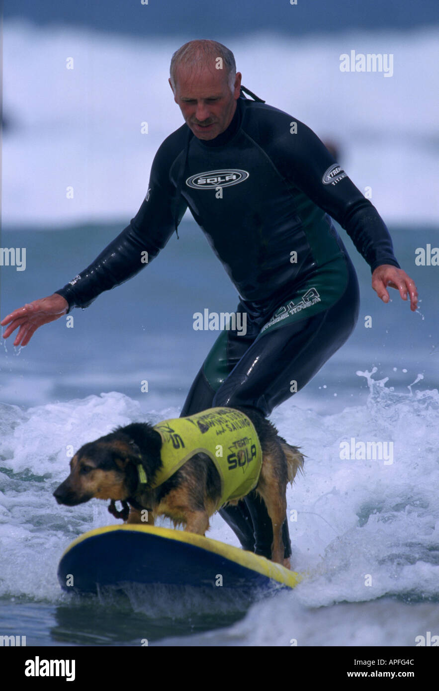 Cane e uomo di azione di surf Foto Stock